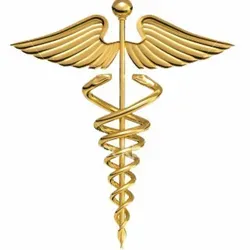 Мудрое слово