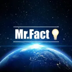 Mr.Fact💡