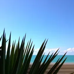 Sochi