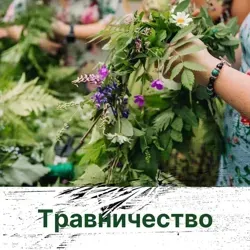 ТРАВНИЧЕСТВО