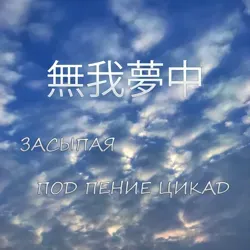 Засыпая под пение цикад