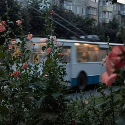 ностальгія