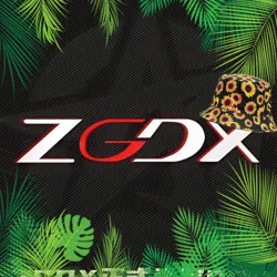 🎮ZGDX GAMING🎮