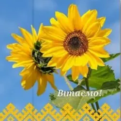 Українська Листівка🐱