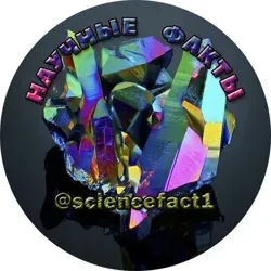 🌎Научные факты🌎