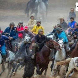 Ko'pkari Otlar | Ot-Bozor⚡️