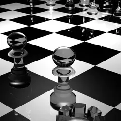 Бизнес опыт