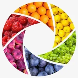 Здоровая вселенная