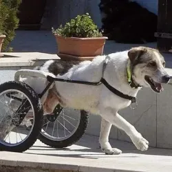 Ебалютый вопрос