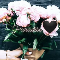 P a r a d I s e🖤