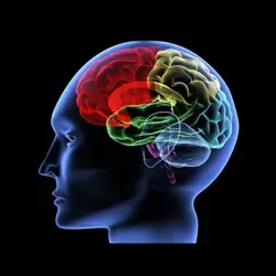 Аудиопрограммы