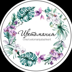 Цветомания