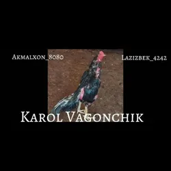 👑👑👑$$КОРОЛ ВАГОНЧИГ$$$👑 👑👑КУКОН