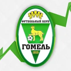 ФК «Гомель»