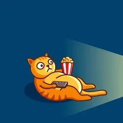 Восемь котеек из восьми