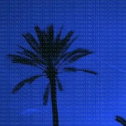 TAKOY | MUZIKAོ💨