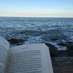 ᴏʏ_ᴛᴏʟɢᴀᴜ🕊