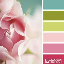 Огородово ??