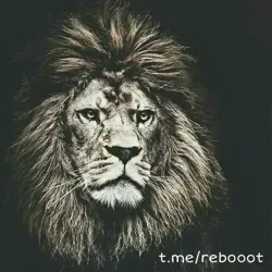 Reboot(отписка)