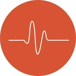 Программный пульс