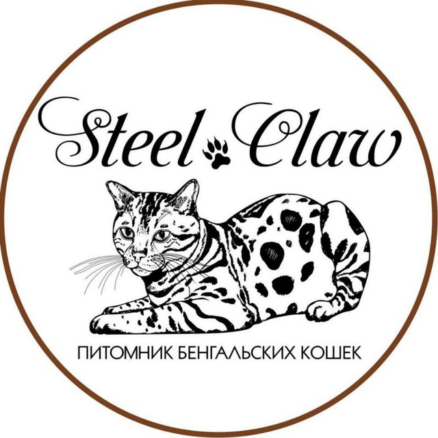 Питомник бенгальских кошек "Steel Claw"