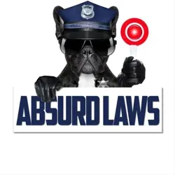 Абсурдные Законы