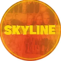 SKYLINE- Общение