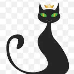 МодноОбзор