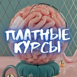 Эксклюзивные курсы❤️