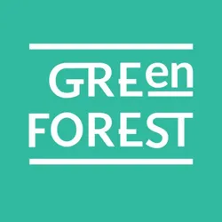 Green Forest | Learning English