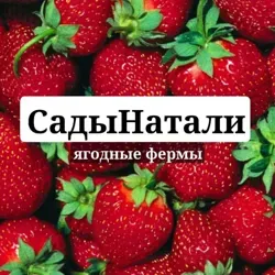 Группа Ягодной Фермы🍓"СадыНатали". Свежая ягода. Саженцы. Обучение. Основы агротехники. Рассчеты питательных растворов.