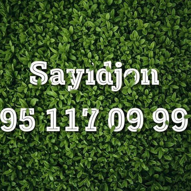 🌳⚜️Mevaliy ko'chatlar savdosi⚜️🌳