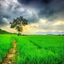 Nature | Природа