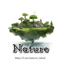 Nature (tabiat)🌿