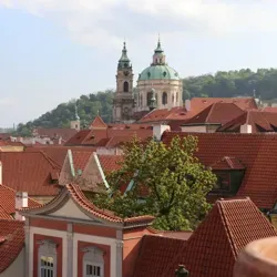 Калина Путешественница