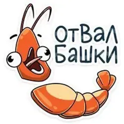 🍤Креветка🍤