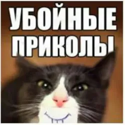 😂УБОЙНЫЕ ПРИКОЛЫ😂