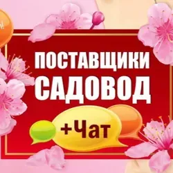 Чат Рынок Садовод🔹Поставщики