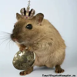 Crypto Hamster 👑