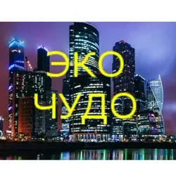 Экономическое Чудо