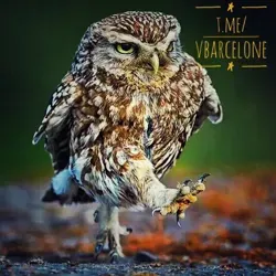 Как в Барселоне?