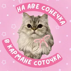 английский и котики / ЕГЭ ОГЭ 2024