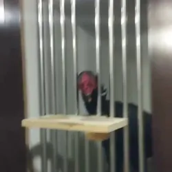 𝐓𝐎𝐙𝐙𝐀𝐒𝐈 𝐁𝐙𝐃𝐀