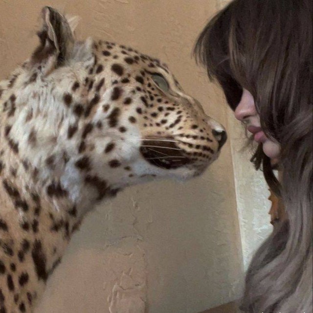 🐆